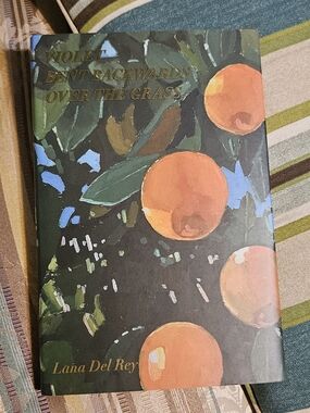 "Violet Bent Backwards Over the Grass" - HARDCOVER book POETRY by LANA DEL RAY